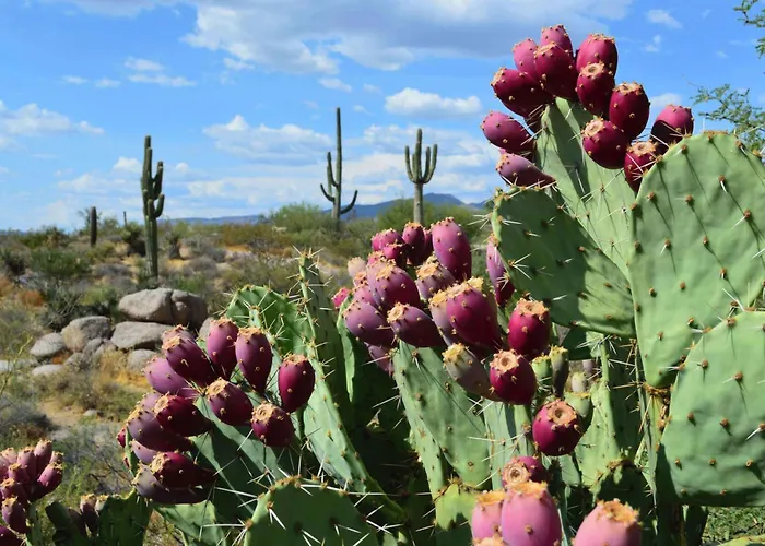 Boulders & Scottsdale, Curio Collection By Hilton Resort 4*