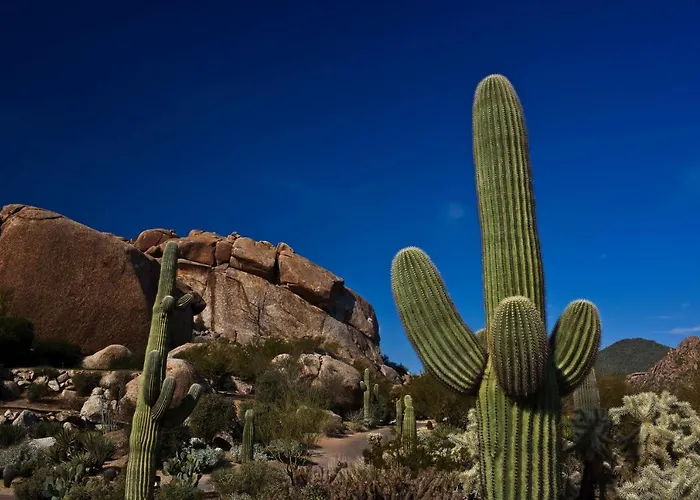 Boulders & Scottsdale, Curio Collection By Hilton 4*